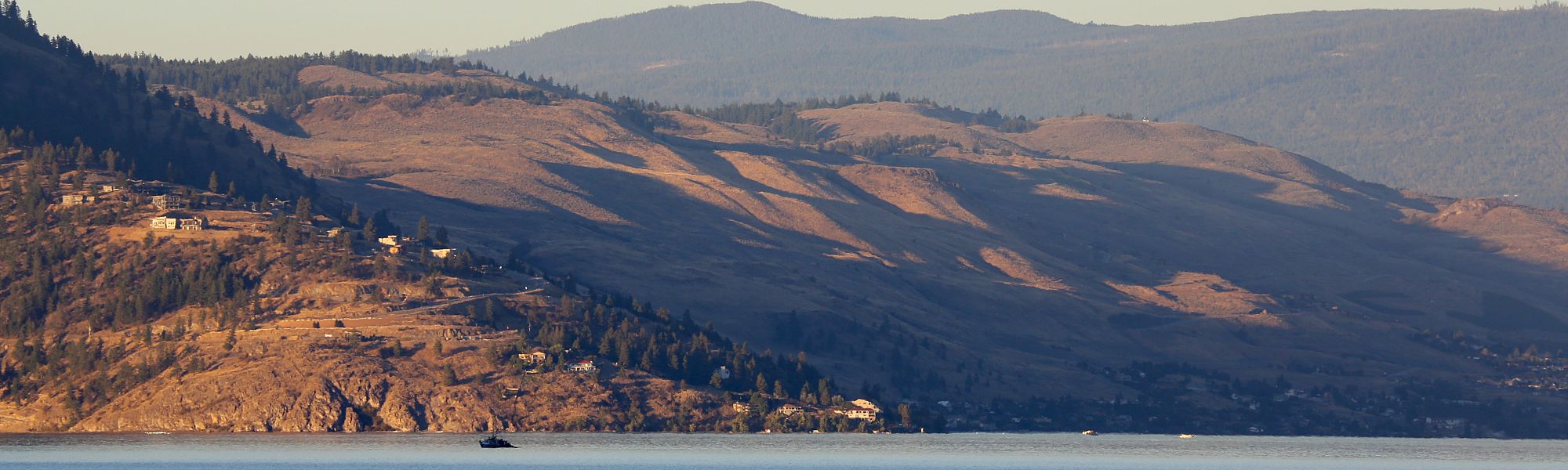 Lengthy legal battle over Summerland cherry variety comes to a close