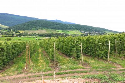 10275 Matner Lane Coldstream Photo 1