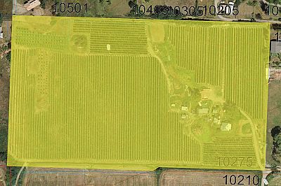 10275 Matner Lane Coldstream Photo 11