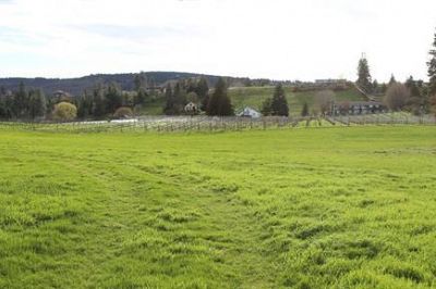 3556 Elliott Road West Kelowna Photo 28