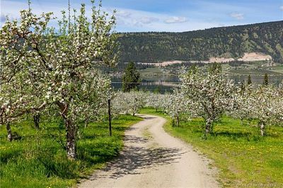 14751 Oyama Road Lake Country Photo 55