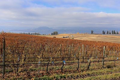 1690 Saucier Road Kelowna Photo 37