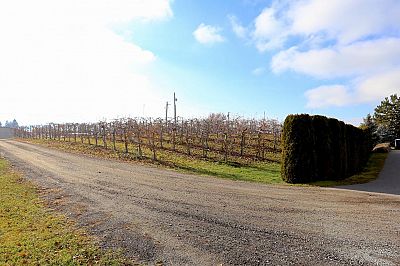 1690 Saucier Road Kelowna Photo 39