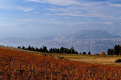 1690 Saucier Road Kelowna Photo 41