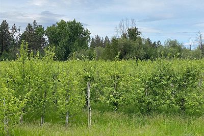 4300 Wallace Hill Road Kelowna Photo 5