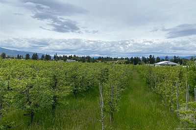 4300 Wallace Hill Road Kelowna Photo 7