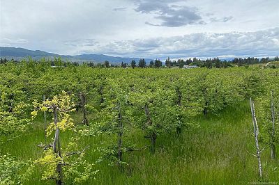 4300 Wallace Hill Road Kelowna Photo 8