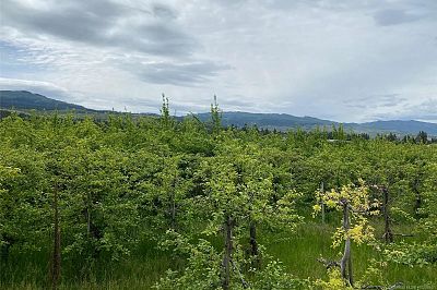 4300 Wallace Hill Road Kelowna Photo 10