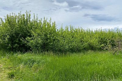 4300 Wallace Hill Road Kelowna Photo 13