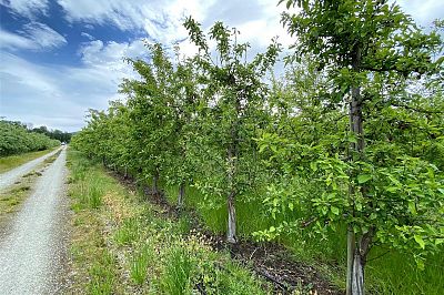 4300 Wallace Hill Road Kelowna Photo 16