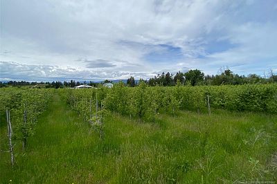 4300 Wallace Hill Road Kelowna Photo 24