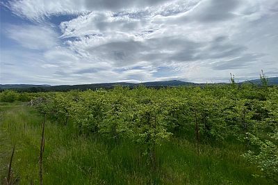 4300 Wallace Hill Road Kelowna Photo 25