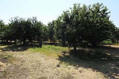 5591 Shanks Road Lake Country Photo 37