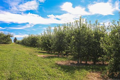 1989 Ward Road Kelowna Photo 14