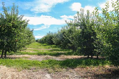 1989 Ward Road Kelowna Photo 16