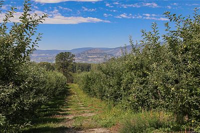 1989 Ward Road Kelowna Photo 17