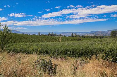 1989 Ward Road Kelowna Photo 19