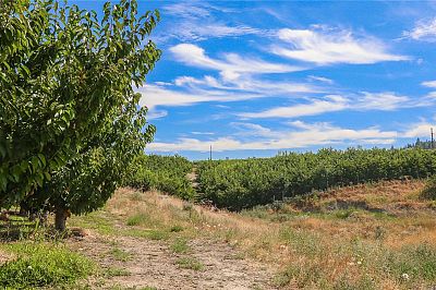 1989 Ward Road Kelowna Photo 22