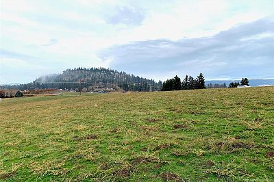 2181 Scenic Road Kelowna Photo 7