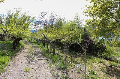 14050 Oyama Road Lake Country Photo 15