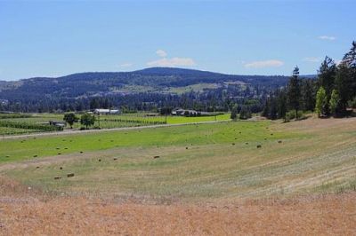 3031 Elliott Road Kelowna Photo 6