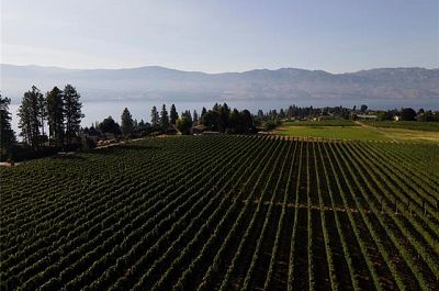 775 Anders Road West Kelowna Photo 4