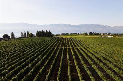 775 Anders Road West Kelowna Photo 5