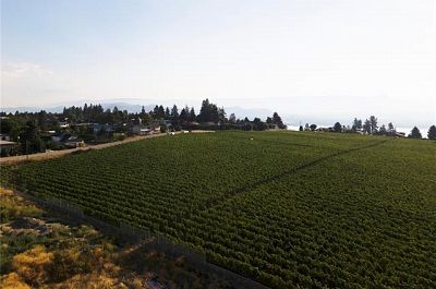 775 Anders Road West Kelowna Photo 6