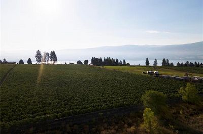 775 Anders Road West Kelowna Photo 7