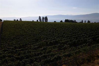 775 Anders Road West Kelowna Photo 11