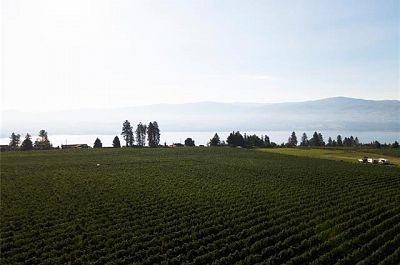 775 Anders Road West Kelowna Photo 12