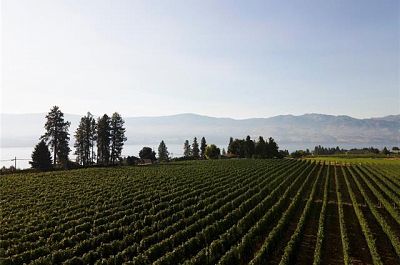 775 Anders Road West Kelowna Photo 13