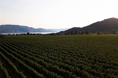 775 Anders Road West Kelowna Photo 14