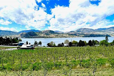 29 Eastside Road Okanagan Falls Photo 1