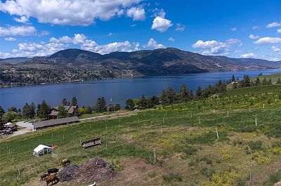29 Eastside Road Okanagan Falls Photo 4