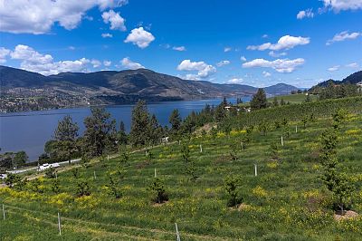 29 Eastside Road Okanagan Falls Photo 6