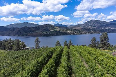 29 Eastside Road Okanagan Falls Photo 7