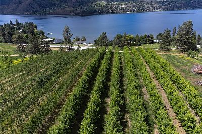 29 Eastside Road Okanagan Falls Photo 8