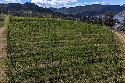 29 Eastside Road Okanagan Falls Photo 9