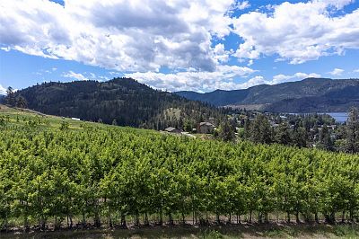 29 Eastside Road Okanagan Falls Photo 10