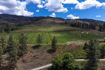 29 Eastside Road Okanagan Falls Photo 12