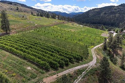 29 Eastside Road Okanagan Falls Photo 13