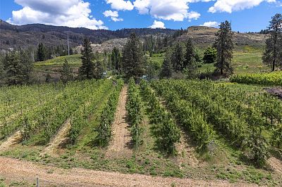 29 Eastside Road Okanagan Falls Photo 14