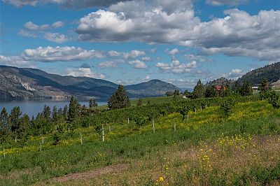 29 Eastside Road Okanagan Falls Photo 16
