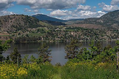 29 Eastside Road Okanagan Falls Photo 19
