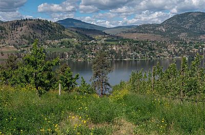 29 Eastside Road Okanagan Falls Photo 20