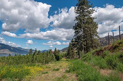 29 Eastside Road Okanagan Falls Photo 21