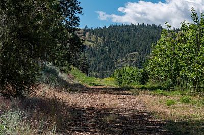 29 Eastside Road Okanagan Falls Photo 24