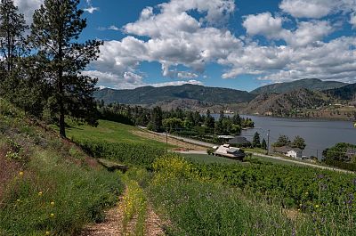 29 Eastside Road Okanagan Falls Photo 26