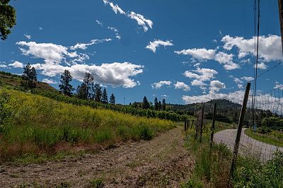 29 Eastside Road Okanagan Falls Photo 30